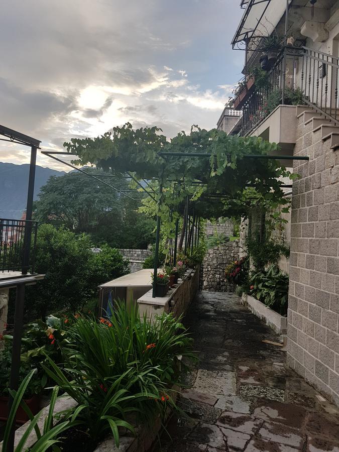 Gudelj * Perast